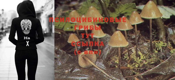 дмт Верхний Тагил