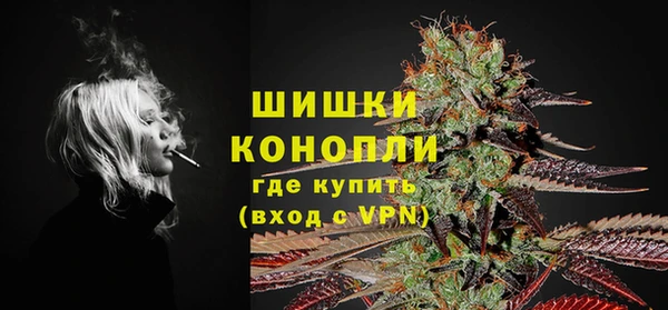 винт Верея