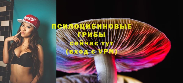 дмт Верхний Тагил